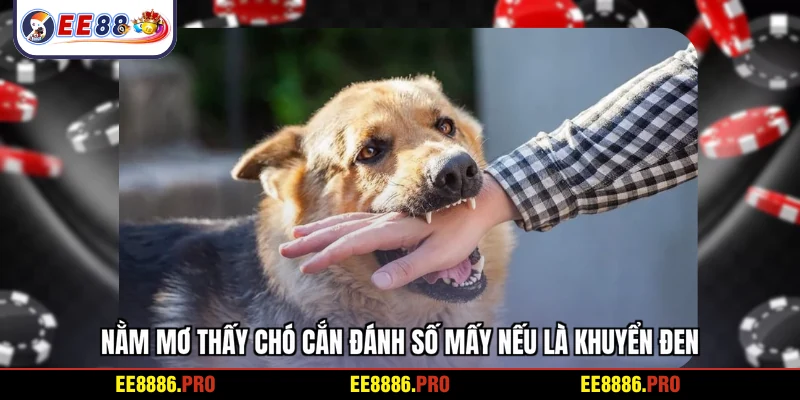 Nằm mơ thấy chó cắn đánh số mấy nếu là khuyển đen